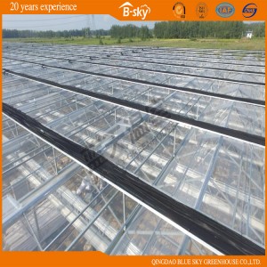 Glass Greenhouse for Planting Vegetables