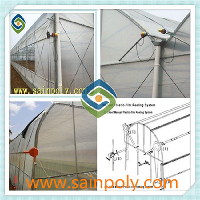 Plastic Tomato Greenhouse Hidroponica for Sale