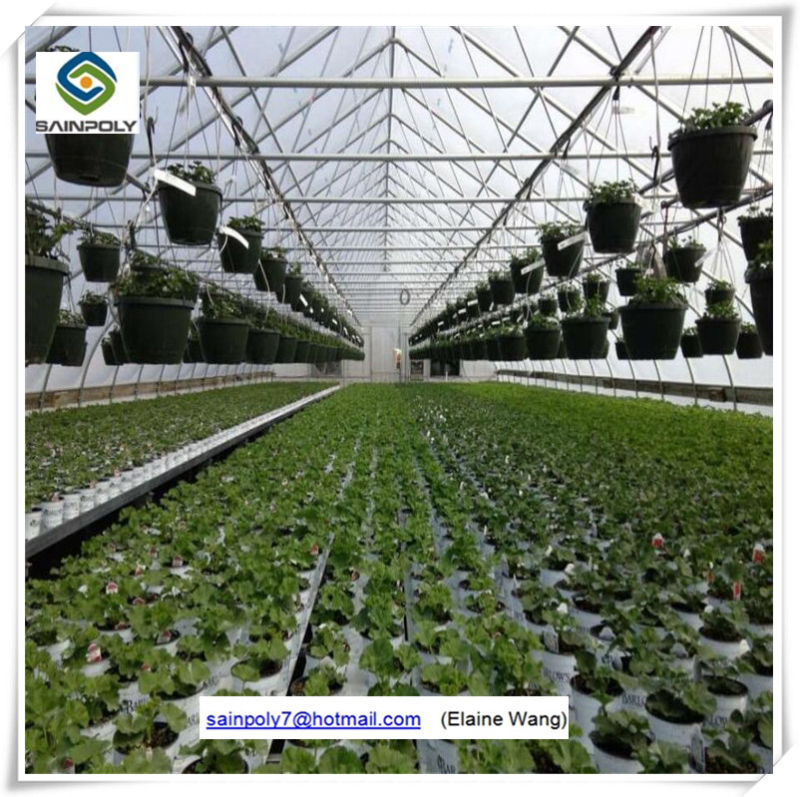 China Low Cost Prefabricated Frame Glass Greenhouse with Hydroponic Systems