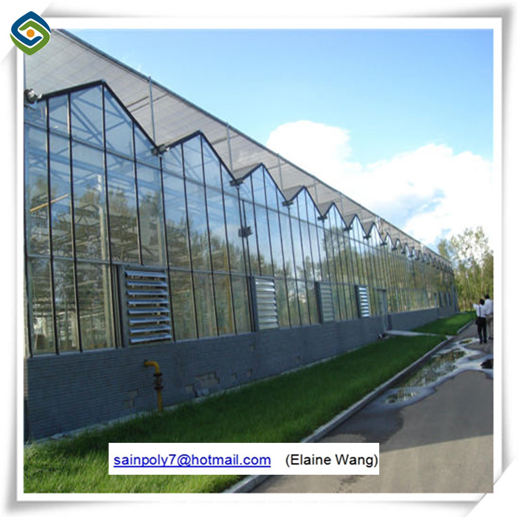 Tunnel Aluminum Sunlight Glass Greenhouse in China