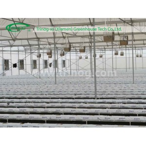 Hydroponic System Greenhouse Supply for sale