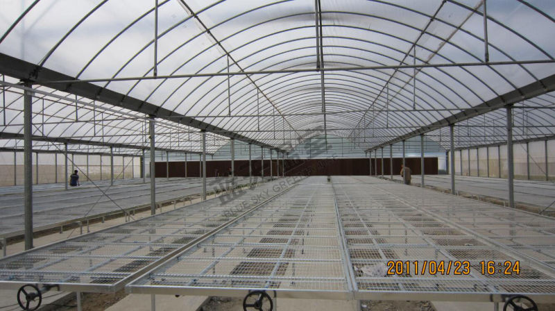 Good Cost Performance Polycarbonate Sheet Greenhouse