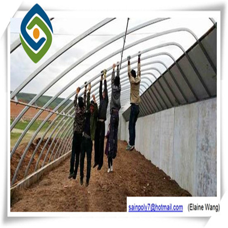 Multi Span Plastic Film Agricultural Greenhouse