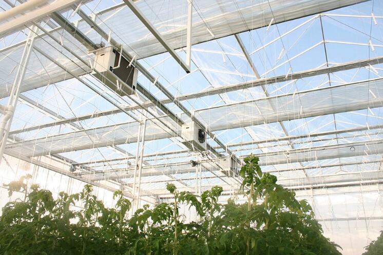 Glass Horticultural Greenhouse for Rose Growing