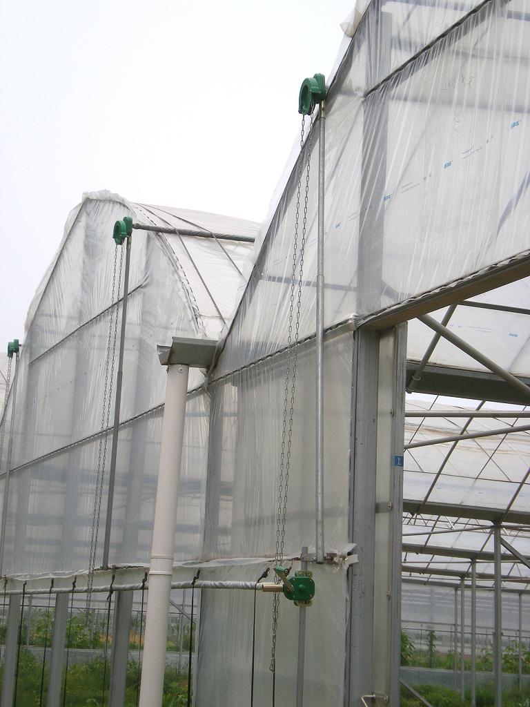 120G/M2 High Quality Greenhouse Seel Steel Structure