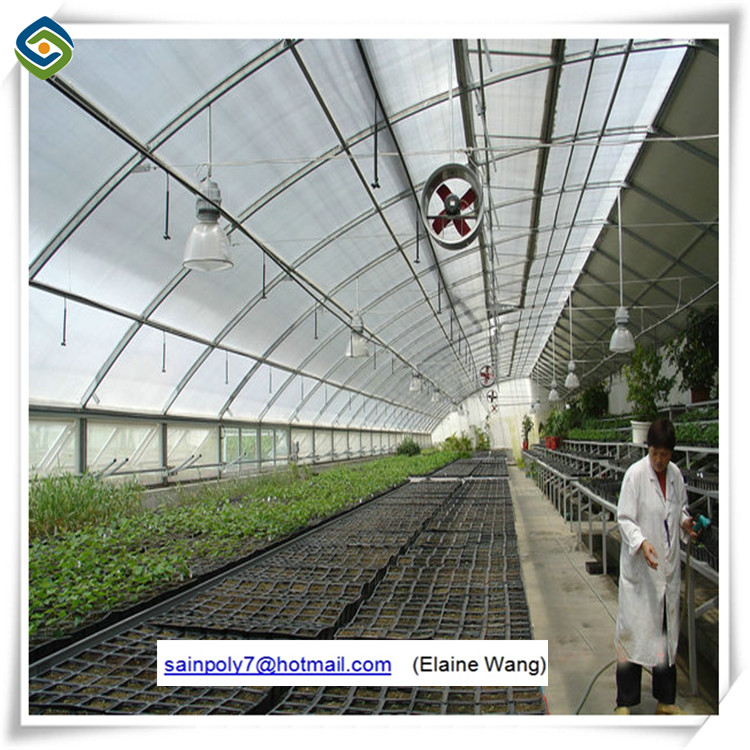 Film Greenhouse with Hydroponic System and Cooling Pads
