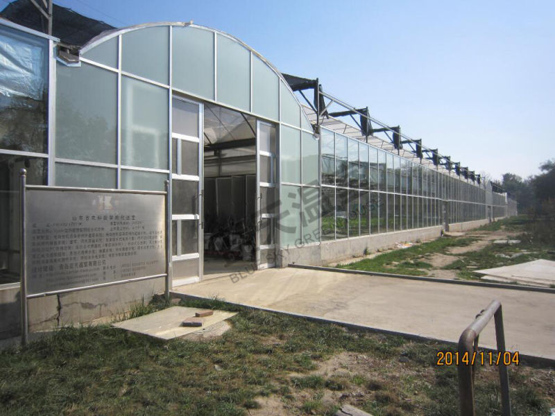 Plastic Film Green House for Planting Vegetables and Flowers