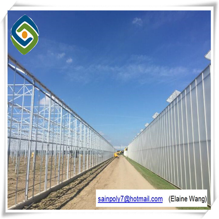 Aluminum Frame Tunnel Glass Greenhouse Single Span with Automatic Ventilation