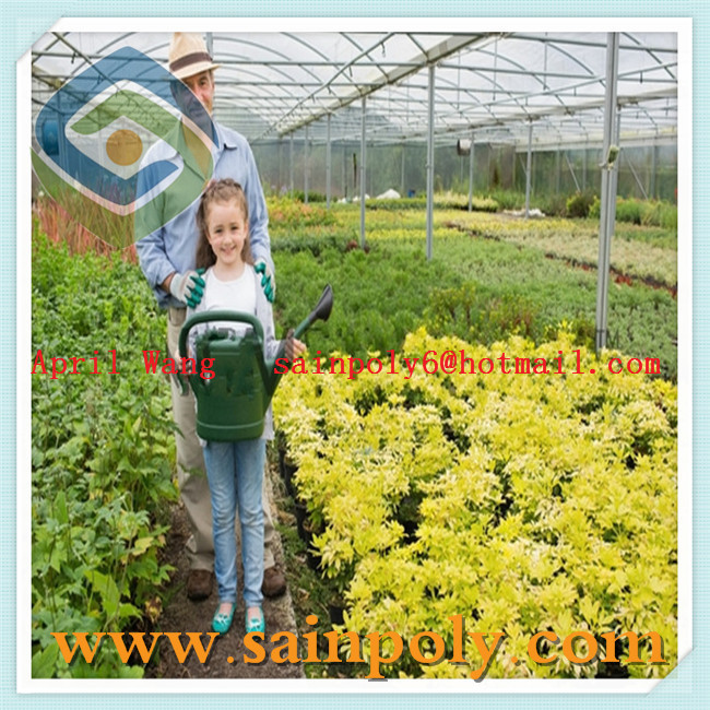 The Cheapest Glass Garden Greenhouse for Flower