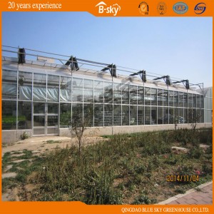Extensive Use Plastic Film Green House for Planting Flowers