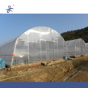 Hot Sale Agricultural Low Cost Tunnel Greenhouse