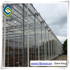 Professional Cheapest Glass Insulated Tempered Glass Greenhouse