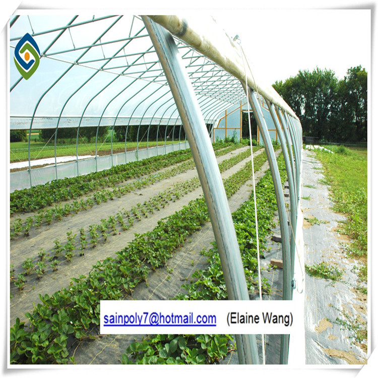 Multi Span Plastic Film Agricultural Greenhouse