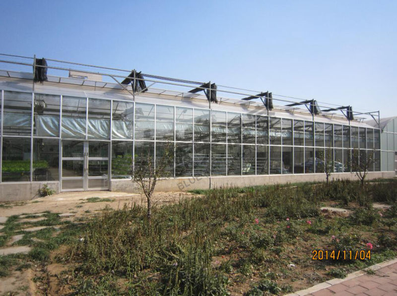 Plastic Film Green House for Planting Vegetables and Flowers