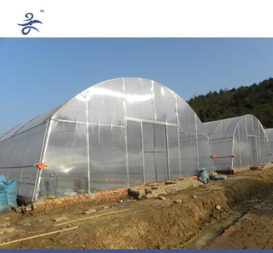 Hot Sale Agricultural Low Cost Tunnel Greenhouse