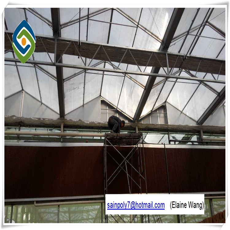 Glass Automatic Commercial Greenhouse for Sale