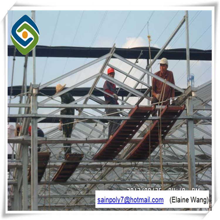 Glass Horticultural Greenhouse for Rose Growing