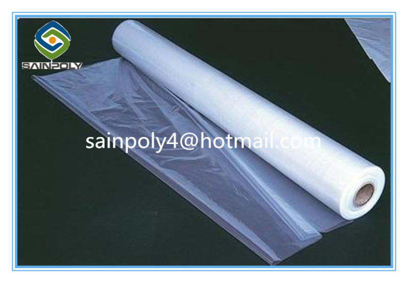 Hot Sale Tunnel Greenhouse for Vegetable Flower Fruit