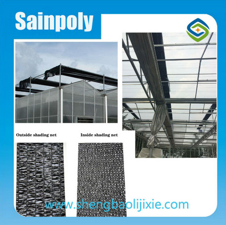 Multi Span Plastic Film Agricultural Greenhouse