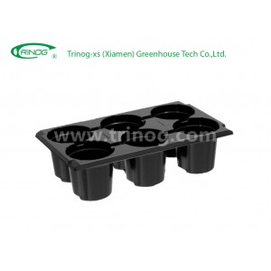 6 cells nursery trays in plastic for growing
