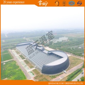 Agricultural Multispan Glass Greenhouse for Lettuce Growing