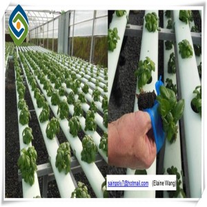 Film Greenhouse with Hydroponic System and Cooling Pads