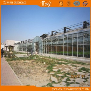 Widely Used Plastic Film Green House for Planting Flowers