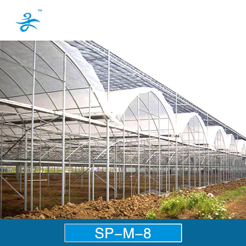 Tomato Greenhouse Greenhouse for Tomatoes/ Cucumber/ Peppers Multi-Span Film Greenhouse Low Cost for Farming Plastic Greenhouse