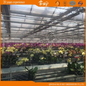 Multi-Span Glass Greenhouse for Agribusiness China Supplier