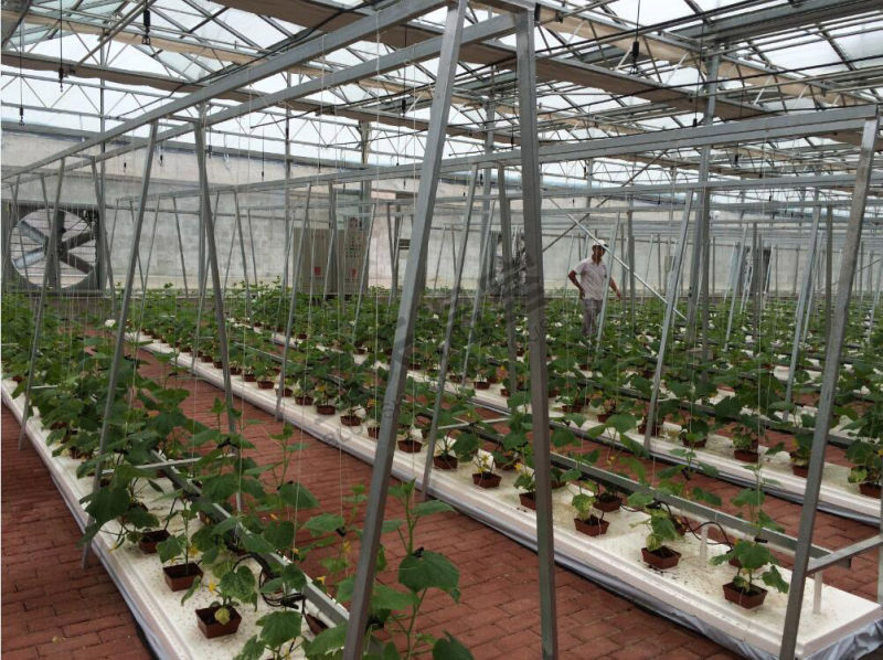 High Output Film Greenhouse