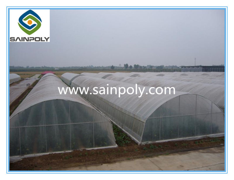 Hot Sale Tunnel Greenhouse for Vegetable Flower Fruit