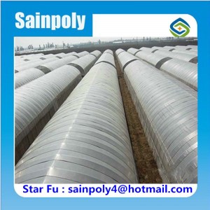 Hot Sale Tunnel Greenhouse for Vegetable Flower Fruit