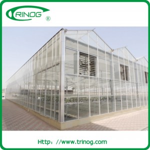 Highly strong glass greenhouse with butterfly vent