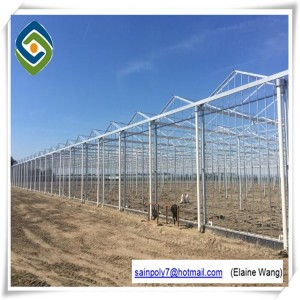 Manufacturer Tunnel Greenhouse Tempered Glass Panels Green House