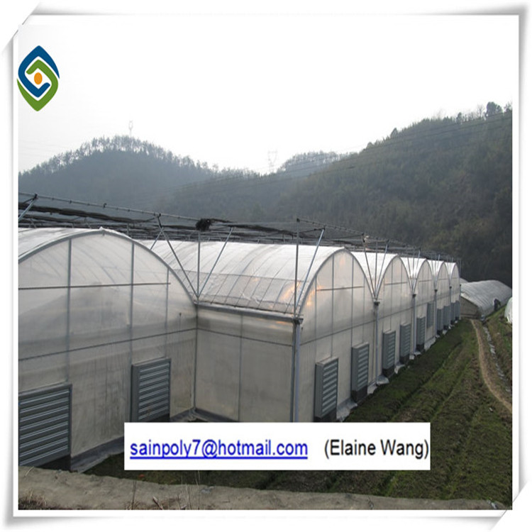 Plastic PE Film Greenhouse Hot Sale for Agriculture