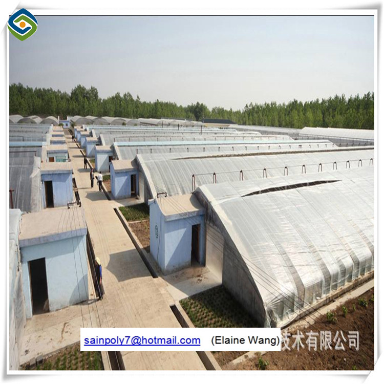 Film Greenhouse with Hydroponic System and Cooling Pads