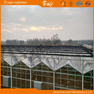 Hot Galvanized Steel Frame Film Greenhouse