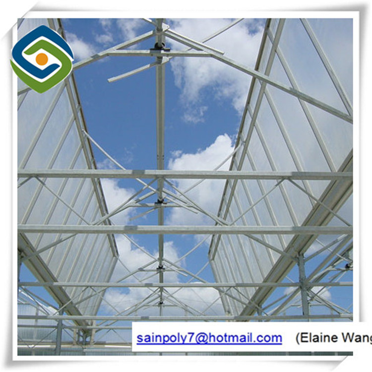 Aluminum Frame Tunnel Glass Greenhouse Single Span with Automatic Ventilation