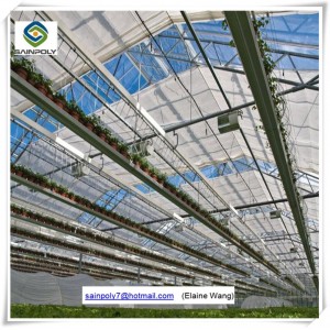 Tunnel Flower Growing Multi Span Glass Greenhouse with Hydroponic Systems