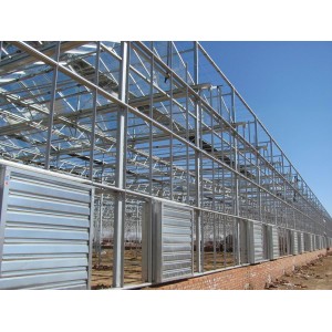 Hot Sale Glass Greenhouse for Agriculture