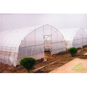 Multi-Span Gothic Film Greenhouse FL