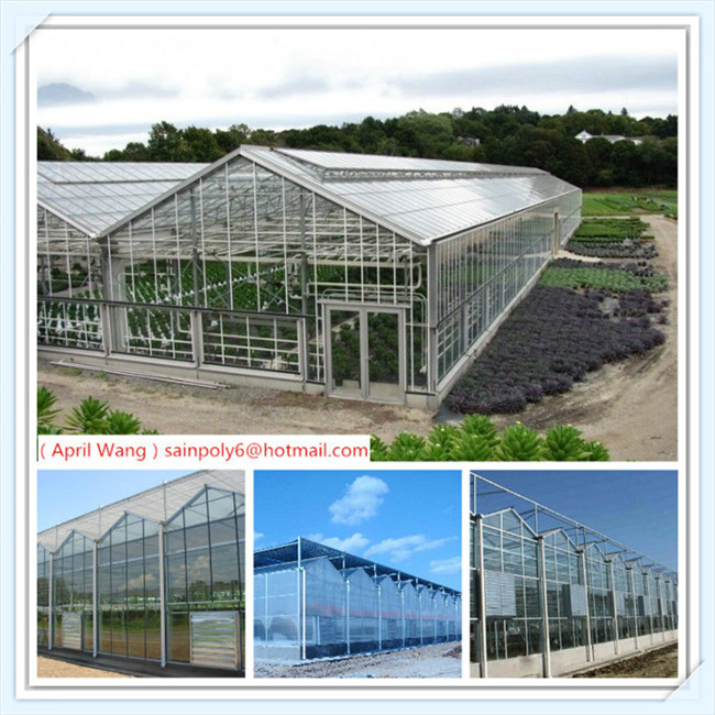 Low Price and Easily Installed Glass Multi-Span Venlo Greenhouse for Sale