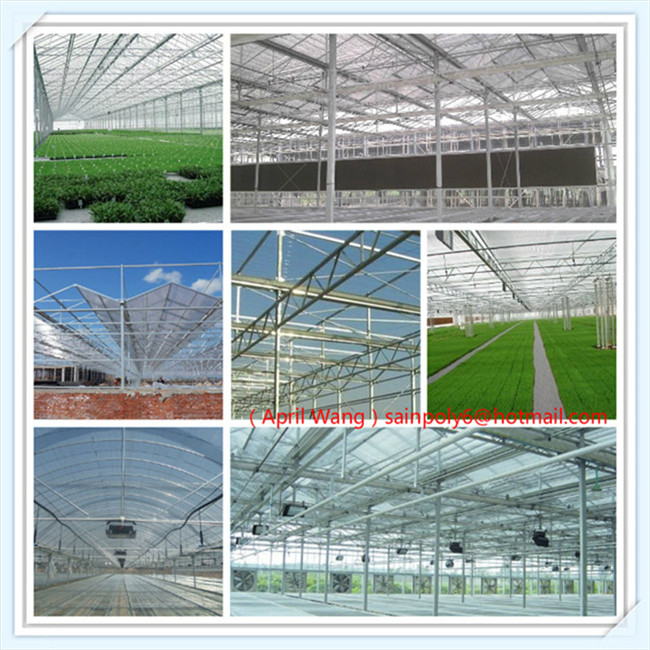 Low Price and Easily Installed Glass Multi-Span Venlo Greenhouse for Sale