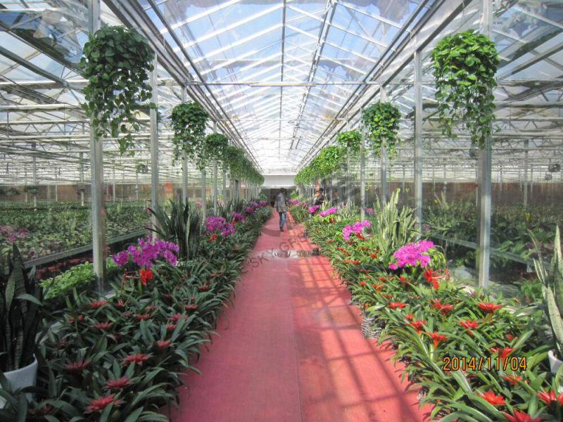 Widely Used Plastic Film Green House for Planting Flowers