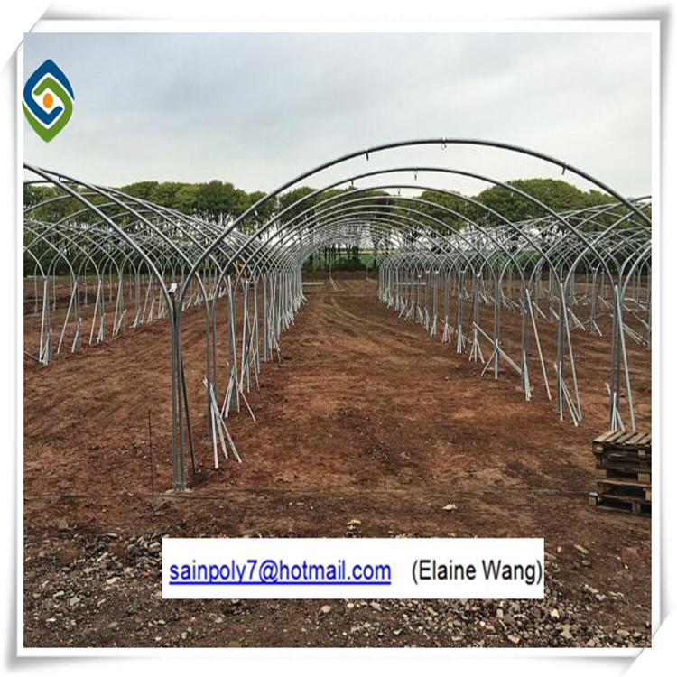 Multi Span Plastic Film Agricultural Greenhouse