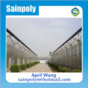 The Cheapest Multi-Span PC Sheet Greenhouse for Agricultural