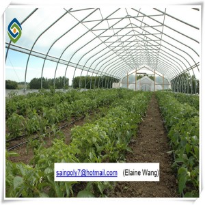 Tunnel Hydroponic Plastic Film Greenhouse