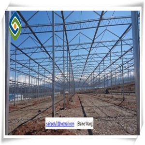 Aquaponics Multi Span Glass Greenhouse for Flowers