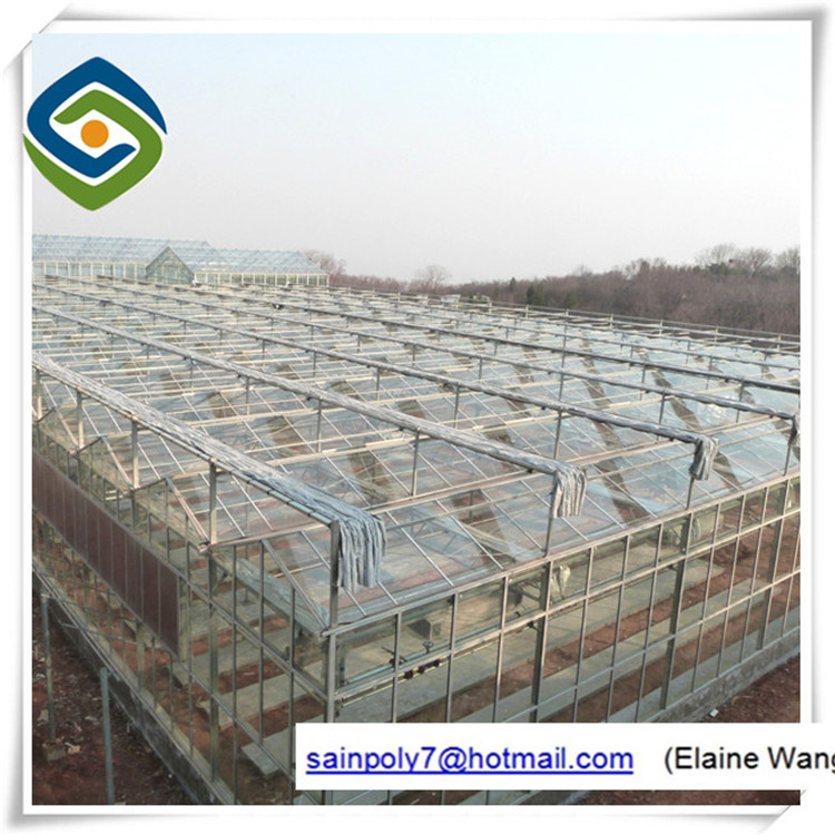 Glass Cover Tunnel Greenhouse with Hydroponic Systems for Aquaponics