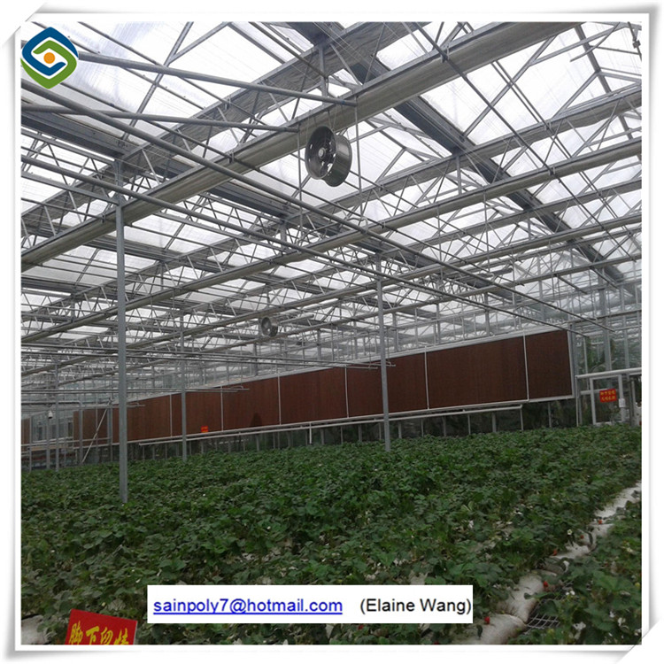 Tunnel Hydroponic Plastic Film Greenhouse
